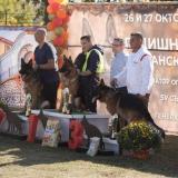 Развъдник за Немско Овчарско Куче — снимка 3