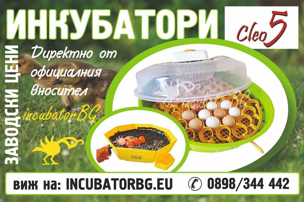 ИНКУБАТОРИ CLEO 5/КЛЕО 5 фициалният вносител за БГ. Гаранция и следгранционен сервиз с оригинални резервни части.