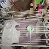 Клетка за гризачи (зайче,морско свинче,таралеж)cavie 80 — снимка 2